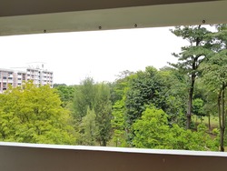 Blk 602 Choa Chu Kang Street 62 (Choa Chu Kang), HDB Executive #170450812